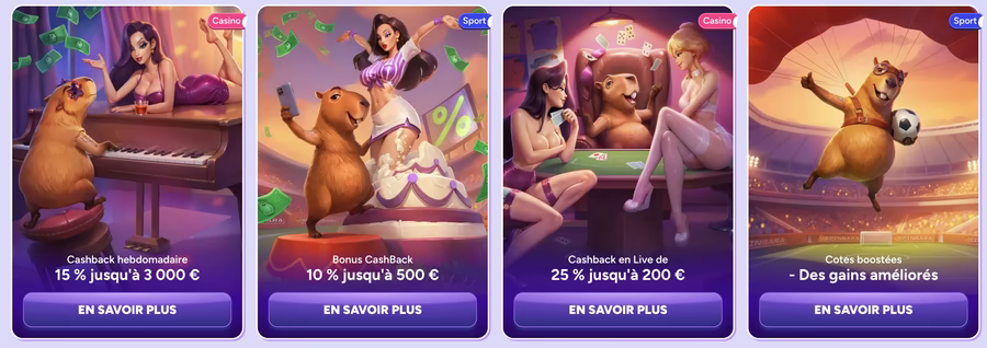 Accès et Connexion Mobile Spin Bara